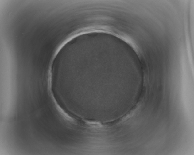 X0000113281524200909280942