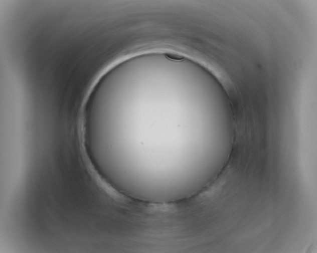 X0000113281526200909280942