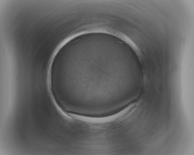 X0000113281528200909280942