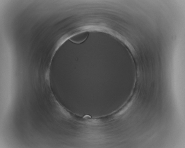 X0000113281529200909280942