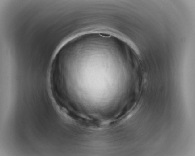 X0000113281530200909280942