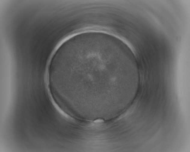 X0000113281531200909280942