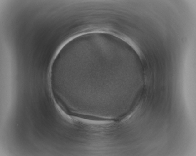 X0000113281532200909280942