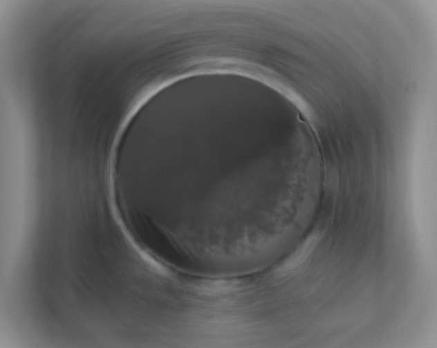 X0000113281533200909280942