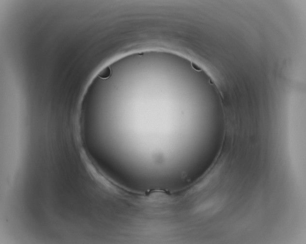 X0000113281534200909280942