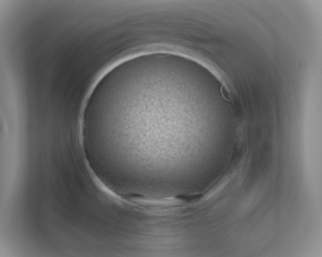 X0000113281535200909280942