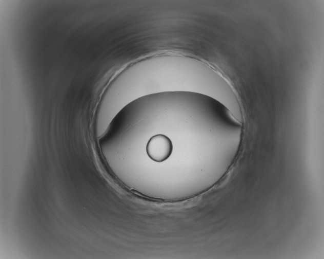 X0000113280001200910051050