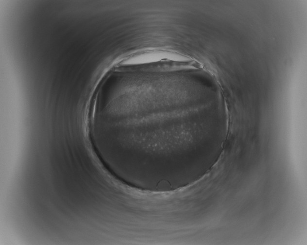 X0000113280002200910051049