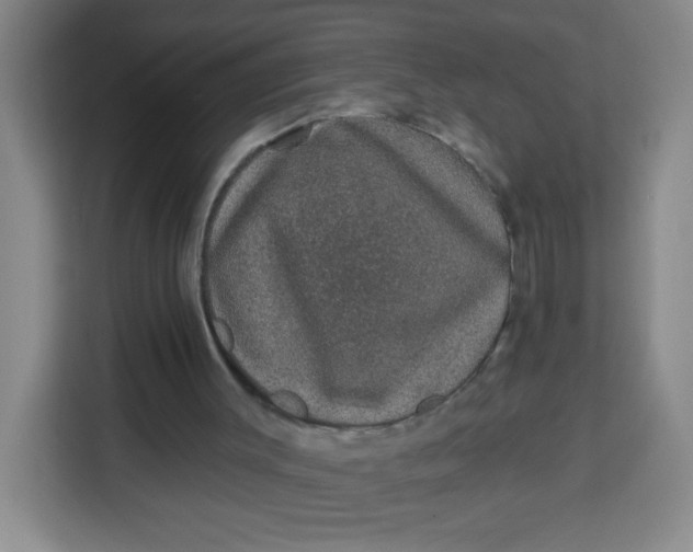 X0000113280003200910051049