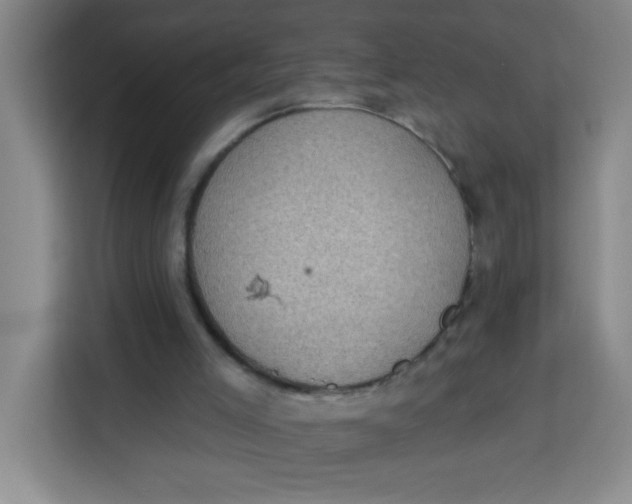 X0000113280005200910051049