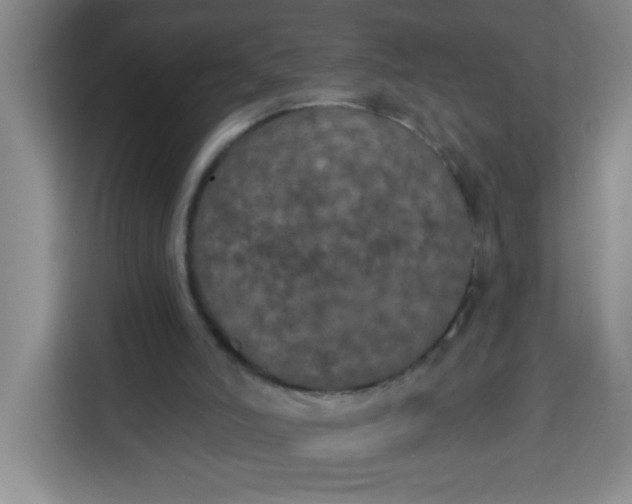 X0000113280006200910051049