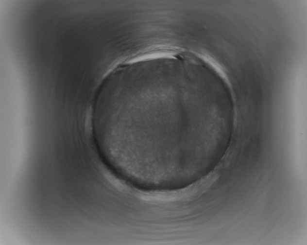 X0000113280009200910051049