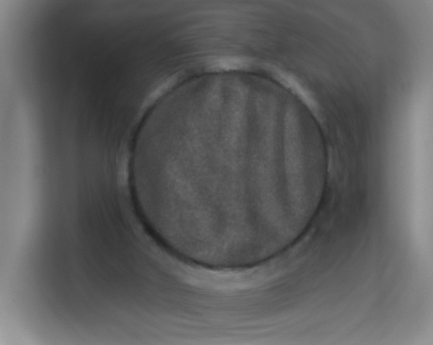 X0000113280010200910051049