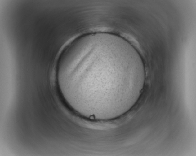 X0000113280012200910051049