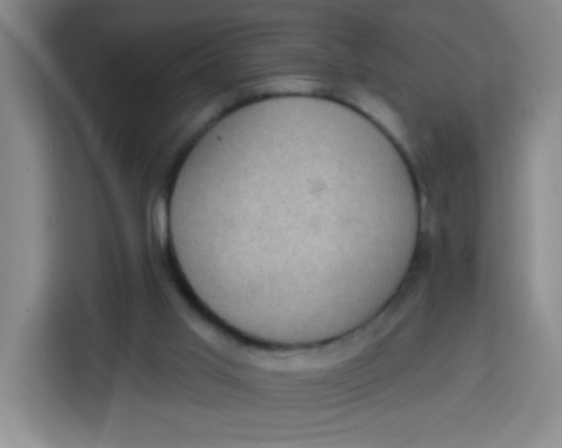 X0000113280013200910051049