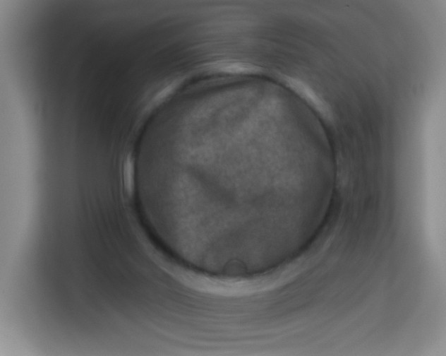 X0000113280014200910051049