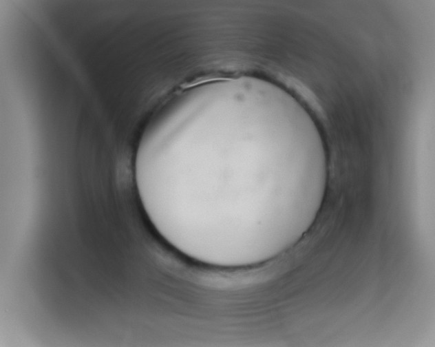 X0000113280017200910051049