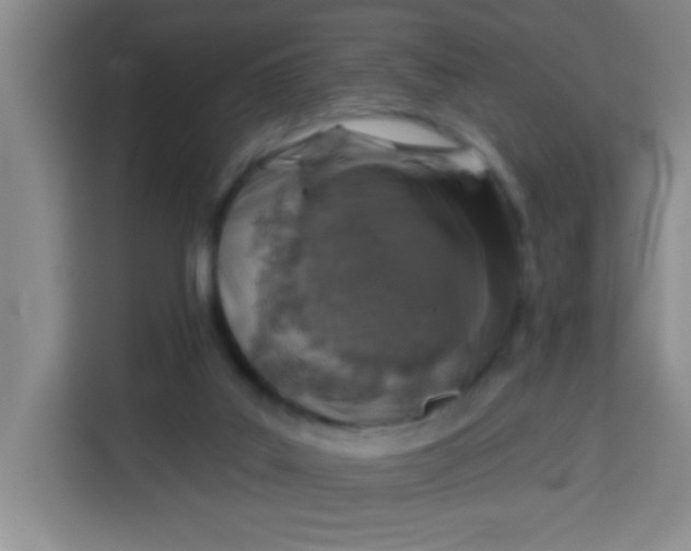 X0000113280019200910051049