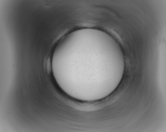 X0000113280020200910051049