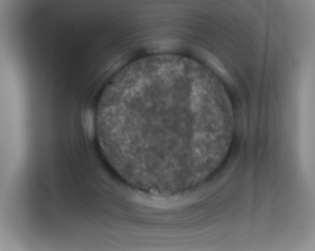 X0000113280022200910051049