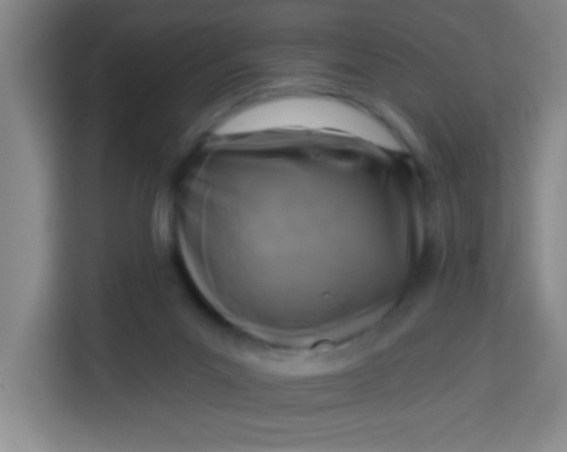 X0000113280023200910051049