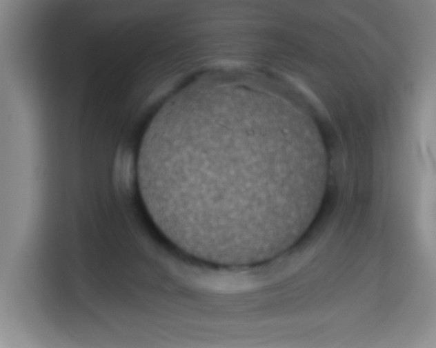 X0000113280024200910051049