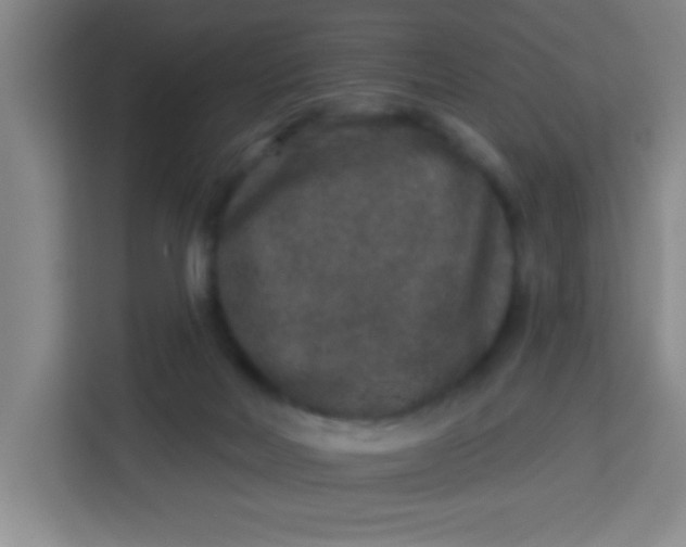 X0000113280026200910051049