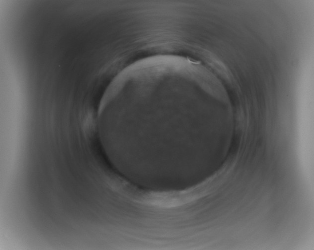 X0000113280029200910051049