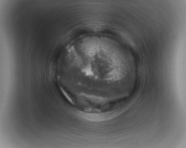 X0000113280030200910051049