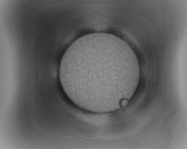 X0000113280032200910051049