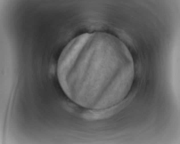 X0000113280033200910051049