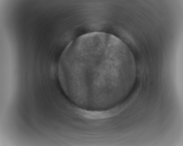 X0000113280034200910051049