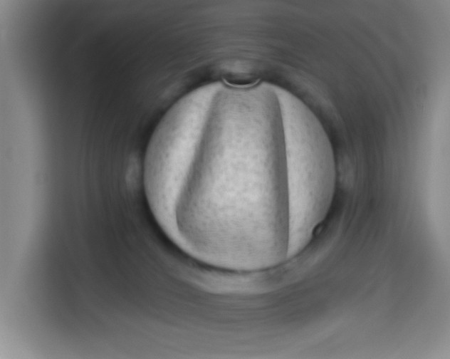 X0000113280036200910051049