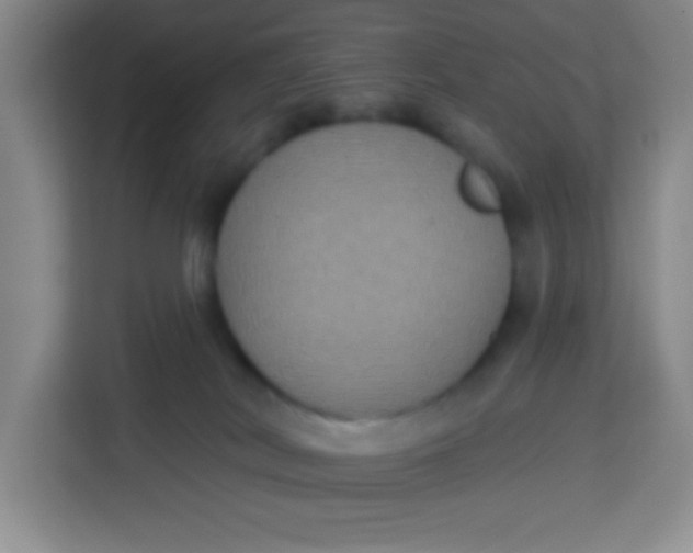 X0000113280038200910051049