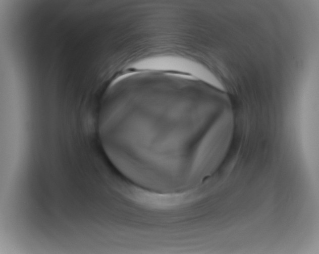 X0000113280039200910051049