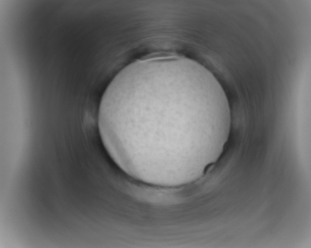 X0000113280040200910051049