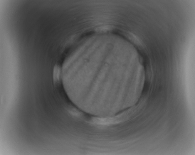 X0000113280041200910051049