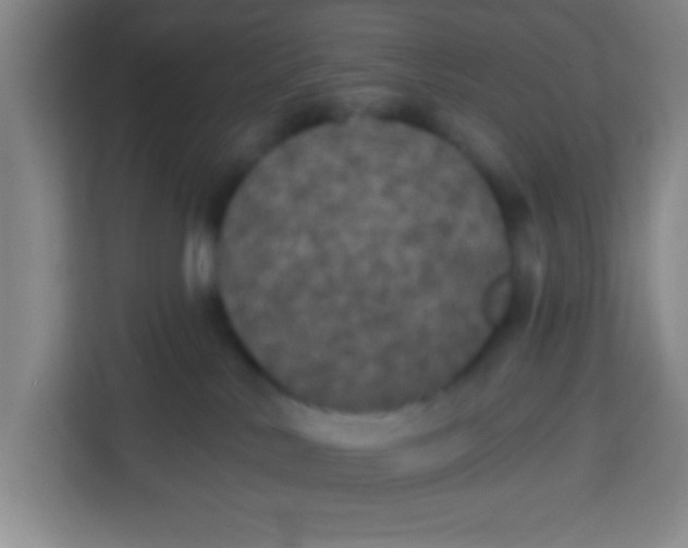 X0000113280042200910051049