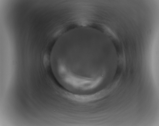 X0000113280043200910051049