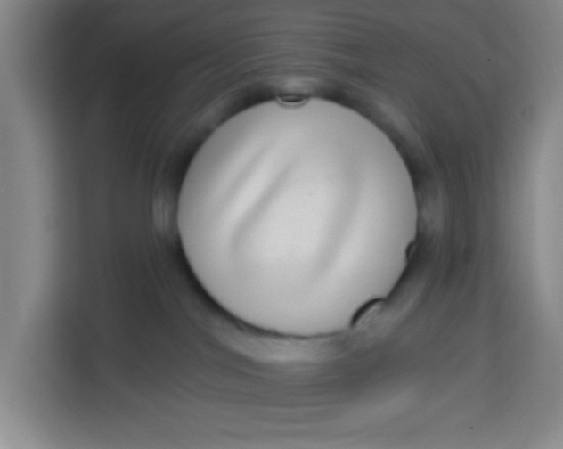 X0000113280044200910051049