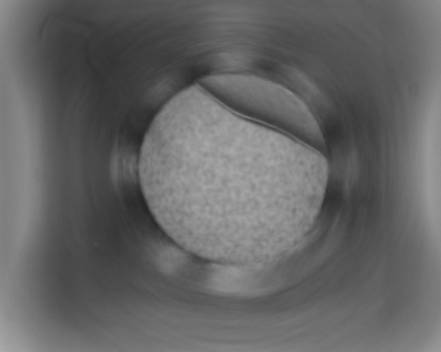 X0000113280045200910051049