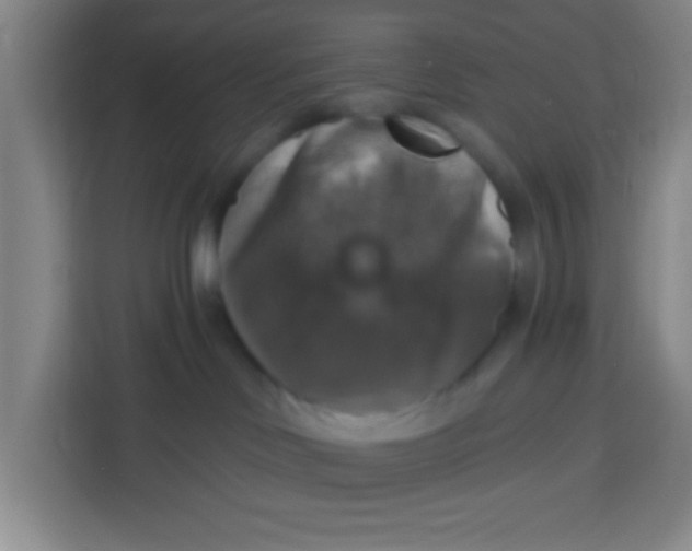 X0000113280046200910051049