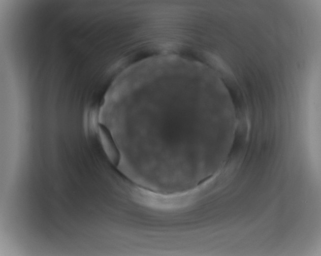 X0000113280047200910051049