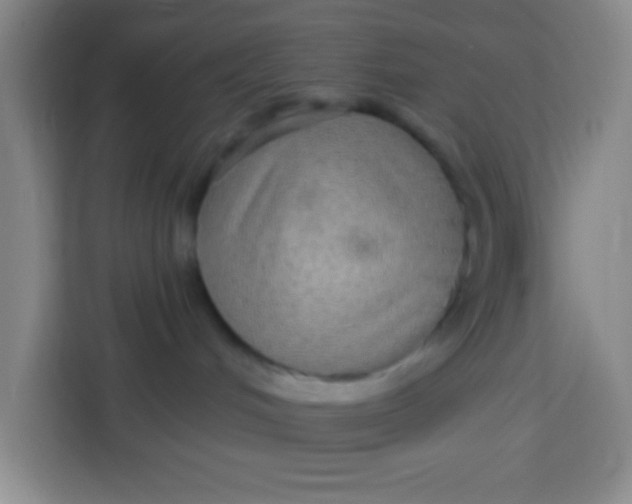 X0000113280048200910051049