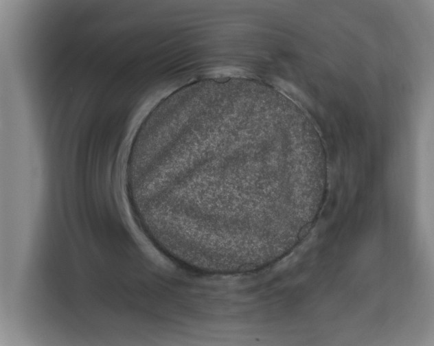 X0000113280049200910051048