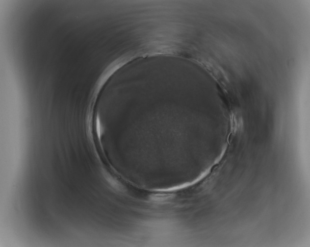 X0000113280051200910051048