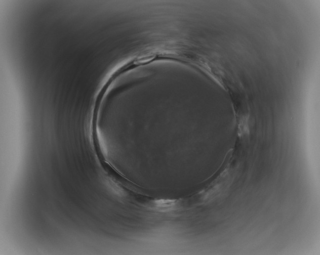 X0000113280052200910051048