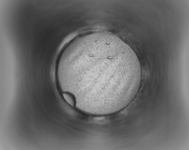 X0000113280054200910051048