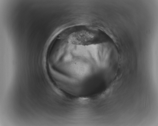 X0000113280055200910051048