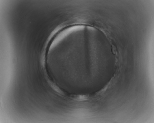 X0000113280056200910051048